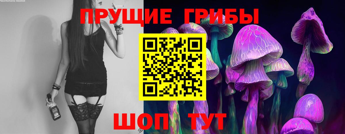 Галлюциногенные грибы мицелий  Майкоп 