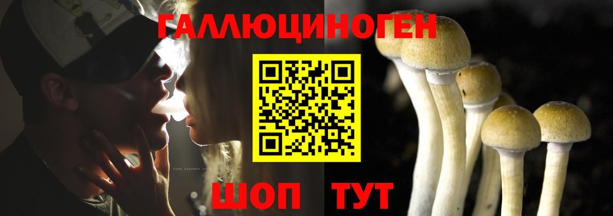 Псилоцибиновые грибы мухоморы  Вход с VPN  Майкоп 